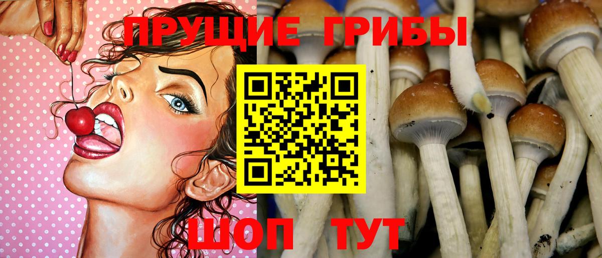 Галлюциногенные грибы прущие грибы  Вход с VPN  Кимовск 